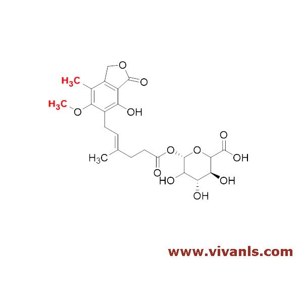 Glucuronides-Mycophenolic acid acyl-B-D-Glucuronide-1654759490.png